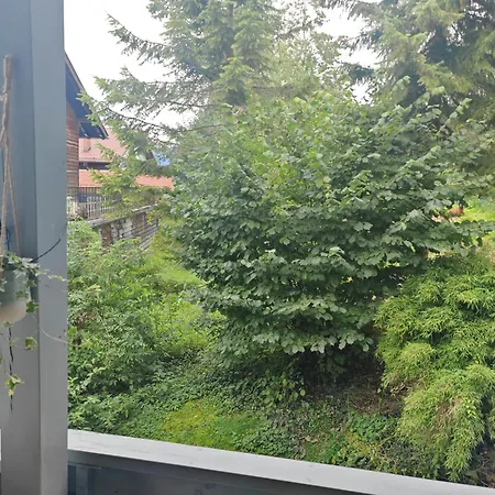 Appartement Berg-feeling Lechbruck am See